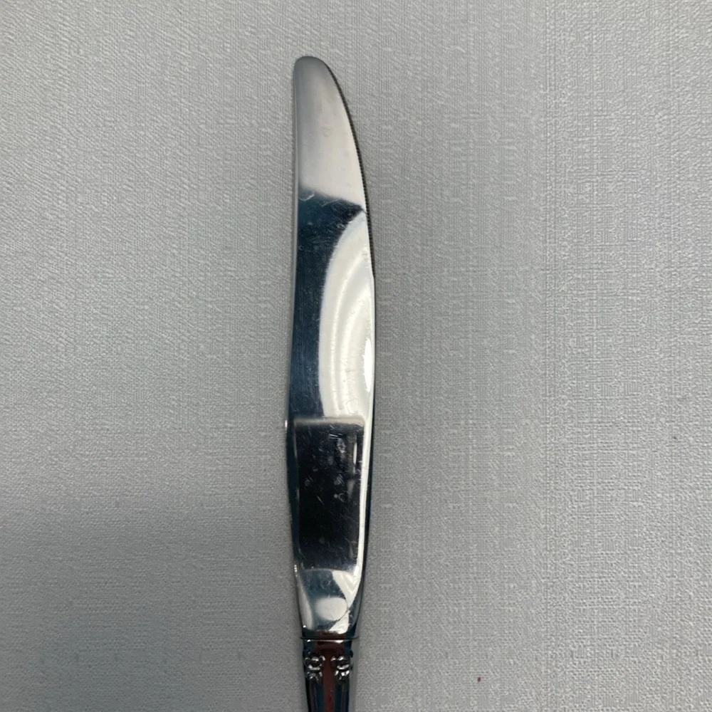 Oneida Community‎ BRAHMS Stainless Glossy Rose Flatware Knife